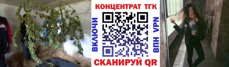 ТГК Wax  Благодарный 