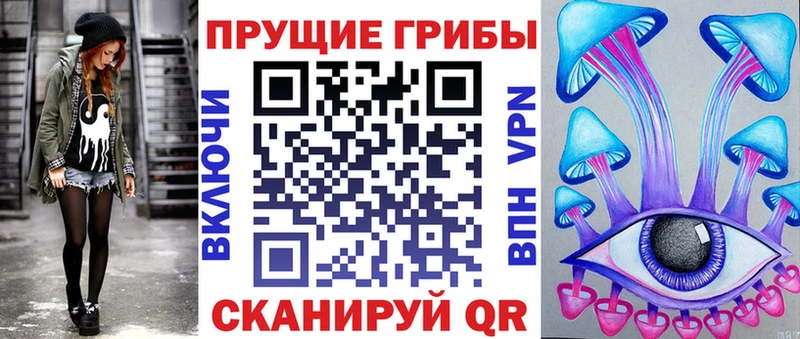наркошоп  Благодарный  Галлюциногенные грибы Magic Shrooms 